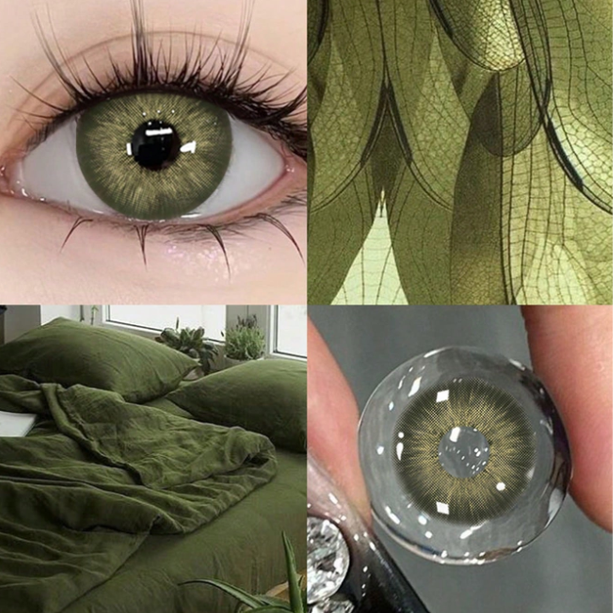 Sage Mist Green Yearly Colored Contacts